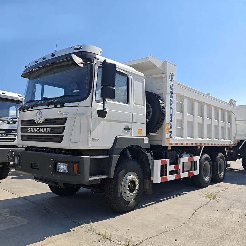 Used Shacman 10 Wheeler Dump Truck
